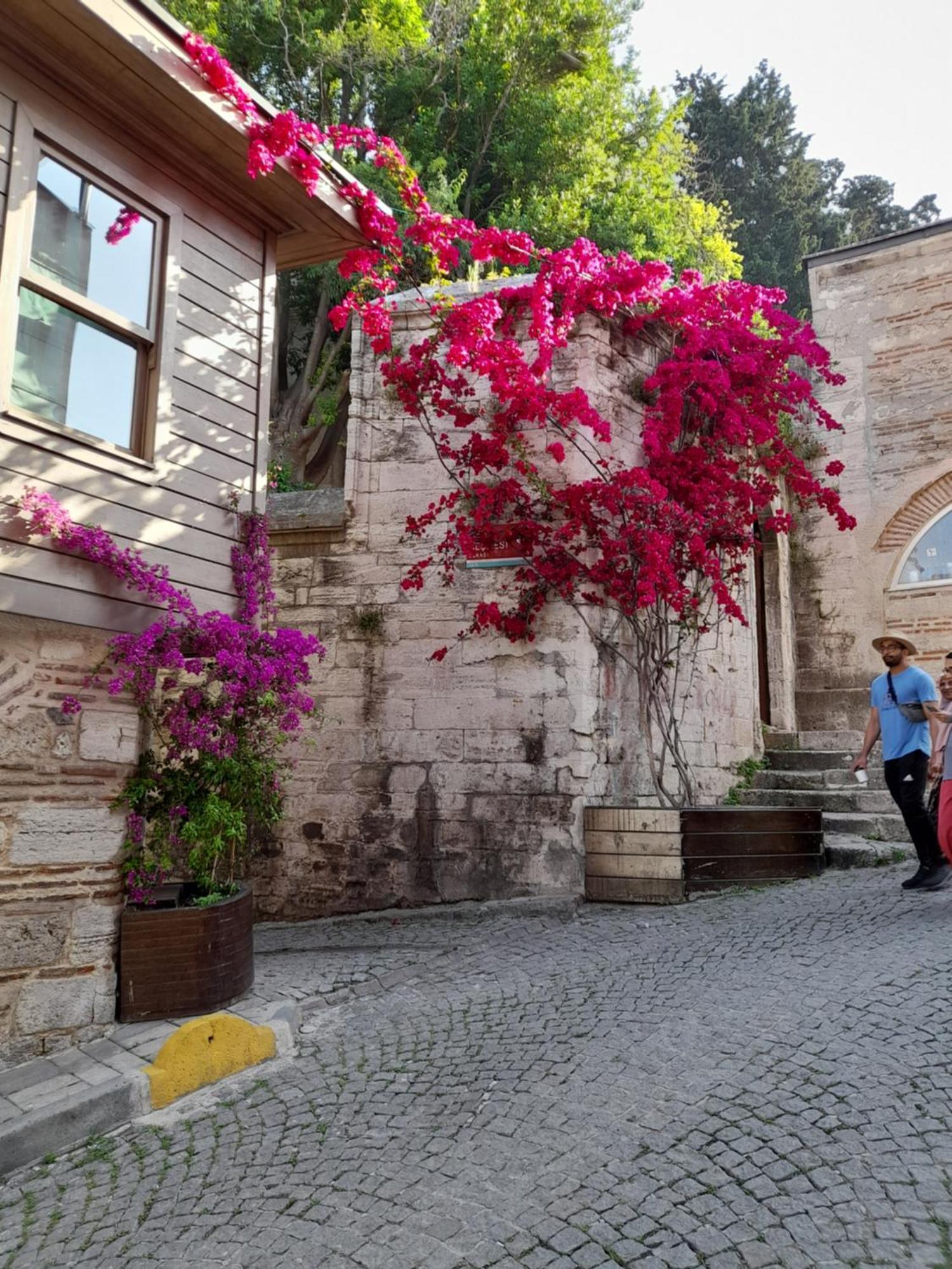 Emirhan Guesthouse & Suites Istanbul Exterior foto